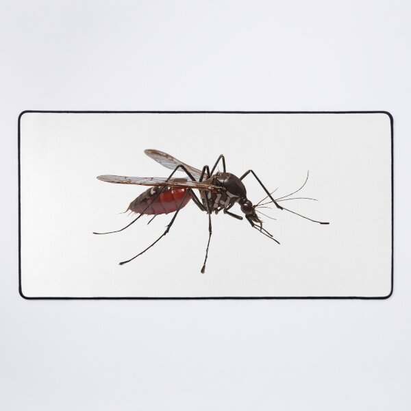Item preview, Aedes Aegypti | The Striking Dengue designed and sold by Maldives-Art.