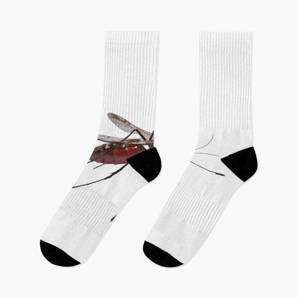 Item preview, Aedes Aegypti | The Striking Dengue designed and sold by Maldives-Art.
