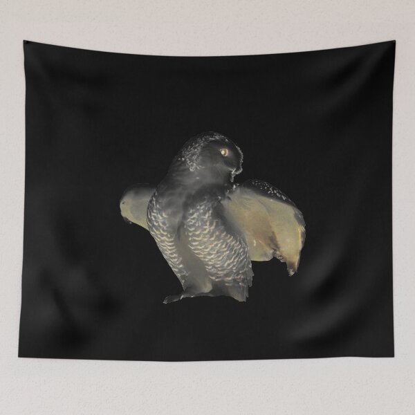Item preview, Snowy Owl – Mysticism in Black and Yellow / Swiss Artwork Photography designed and sold by Raphael Wolf.