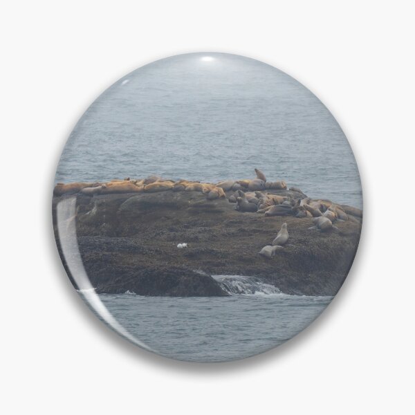 Item preview, Island of Sea Lions designed and sold by TinyDinoDesigns.