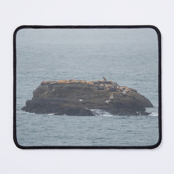 Item preview, Island of Sea Lions designed and sold by TinyDinoDesigns.