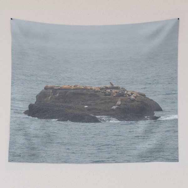 Item preview, Island of Sea Lions designed and sold by TinyDinoDesigns.