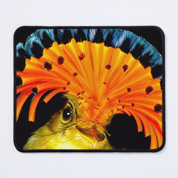 Item preview, Amazonian Royal Flycatcher – Maria-leque-da-amazônia designed and sold by Homehello.