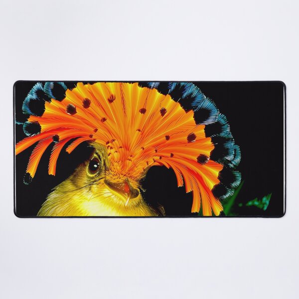 Item preview, Amazonian Royal Flycatcher – Maria-leque-da-amazônia designed and sold by Homehello.