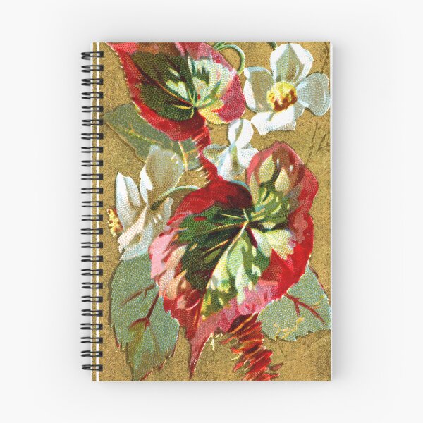 Item preview, Begonia (Begonia Rex) Chromolithograph designed and sold by mamiespaw.