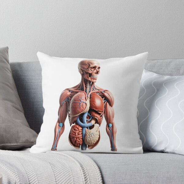 Item preview, The Atlas Figure | Full Musculoskeletal and Organ Display designed and sold by Maldives-Art.