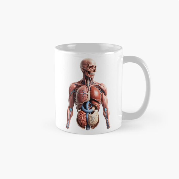 Item preview, The Atlas Figure | Full Musculoskeletal and Organ Display designed and sold by Maldives-Art.
