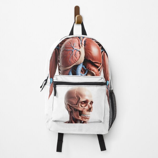 Item preview, The Atlas Figure | Full Musculoskeletal and Organ Display designed and sold by Maldives-Art.