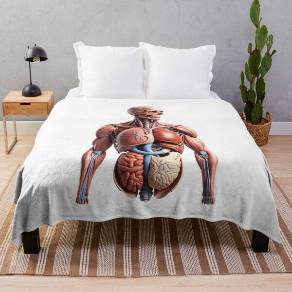 Item preview, The Atlas Figure | Full Musculoskeletal and Organ Display designed and sold by Maldives-Art.