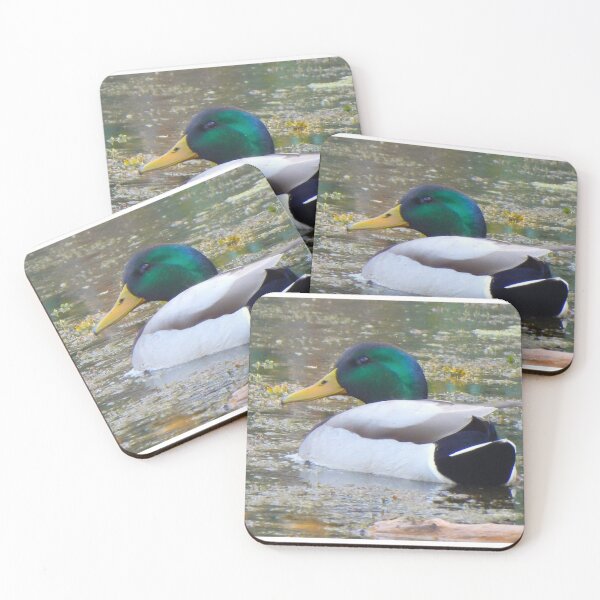 Item preview, A Mallard duck on the Pond designed and sold by Wonders Of Paradise.