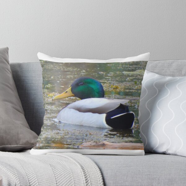 Item preview, A Mallard duck on the Pond designed and sold by Wonders Of Paradise.