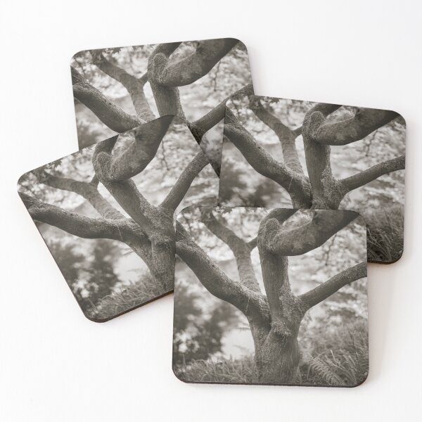 Item preview, Bodnant Tree designed and sold by David Bowman.