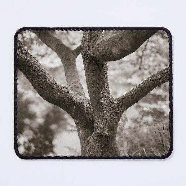 Item preview, Bodnant Tree designed and sold by David Bowman.