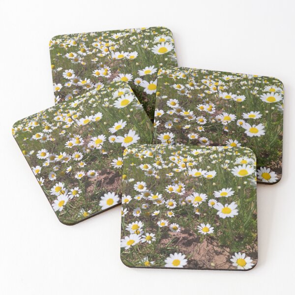 Item preview, Chamomile flowers Photo designed and sold by Sky-99.