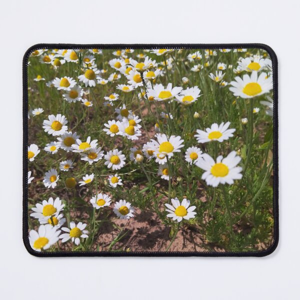 Item preview, Chamomile flowers Photo designed and sold by Sky-99.