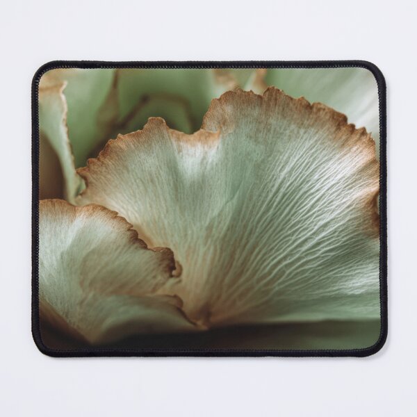 Item preview, Delicate flower petals designed and sold by anytka.