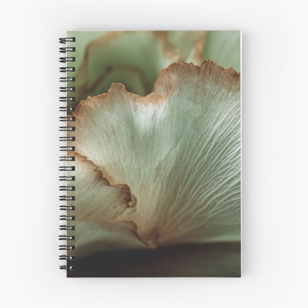 Item preview, Delicate flower petals designed and sold by anytka.