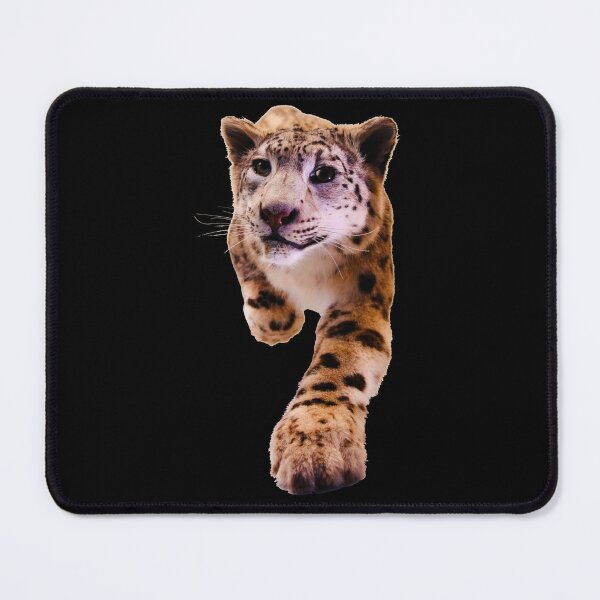 Item preview, Jaguar – Majestic presence in the dark / Swiss Artwork Photography designed and sold by Raphael Wolf.