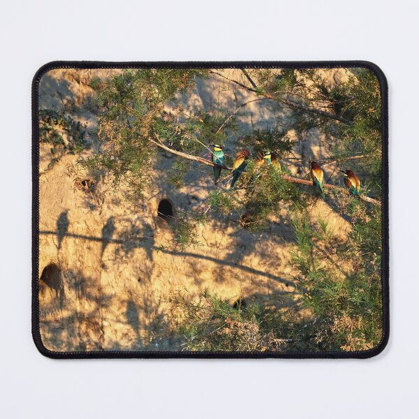 Item preview, Bee-eater (Merops apiaster) designed and sold by Andreas Koerner.