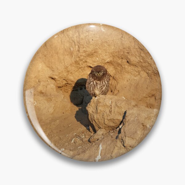 Item preview, Little Owl (Athene noctua) designed and sold by Andreas Koerner.