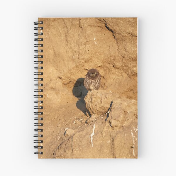 Item preview, Little Owl (Athene noctua) designed and sold by Andreas Koerner.