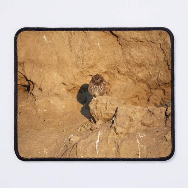 Item preview, Little Owl (Athene noctua) designed and sold by Andreas Koerner.