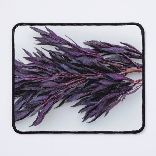 Item preview, Dried purple herb with leaves designed and sold by anytka.