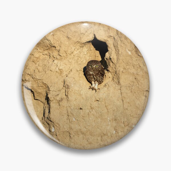 Item preview, Little Owl (Athene noctua) designed and sold by Andreas Koerner.