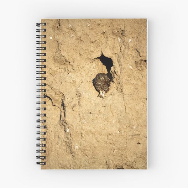 Item preview, Little Owl (Athene noctua) designed and sold by Andreas Koerner.