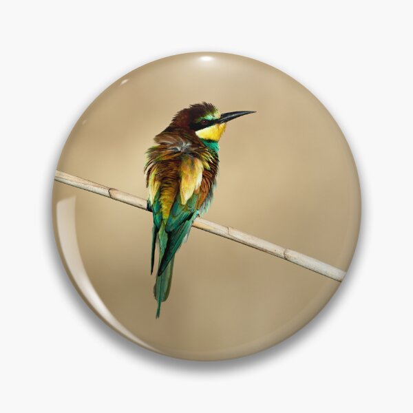 Item preview, Bee-eater (Merops apiaster) designed and sold by Andreas Koerner.