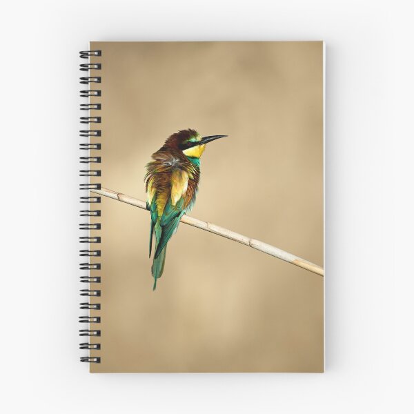 Item preview, Bee-eater (Merops apiaster) designed and sold by Andreas Koerner.