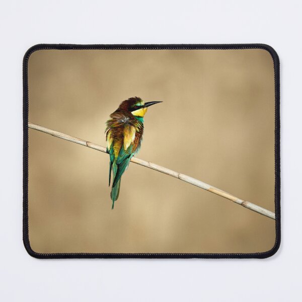 Item preview, Bee-eater (Merops apiaster) designed and sold by Andreas Koerner.