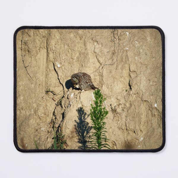 Item preview, Little Owl (Athene noctua) designed and sold by Andreas Koerner.