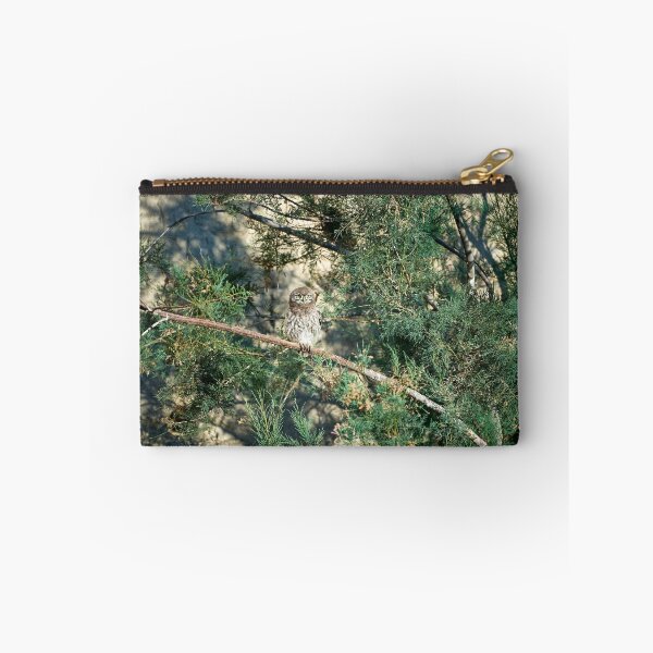 Item preview, Little Owl (Athene noctua) designed and sold by Andreas Koerner.