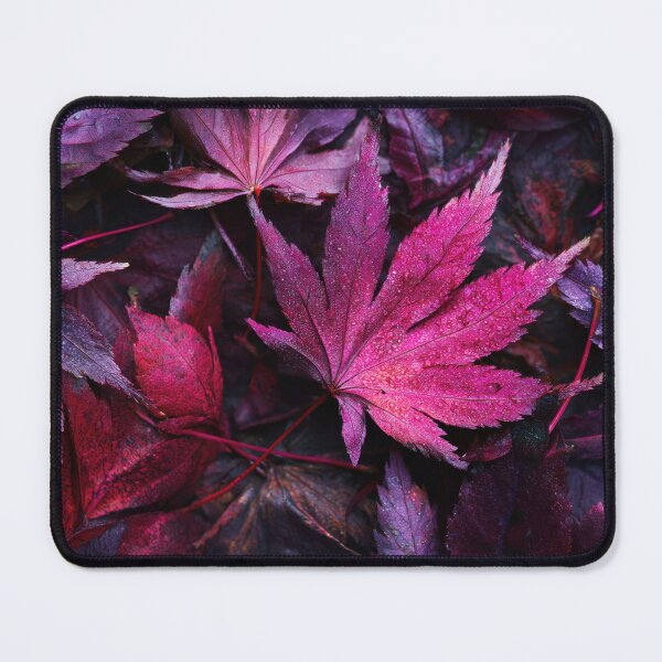 Item preview, Bright autumn leaves fallen designed and sold by anytka.