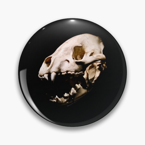 Item preview, Dinosaurs – primal forces of prehistoric times / Swiss Artwork Photography designed and sold by Raphael Wolf.