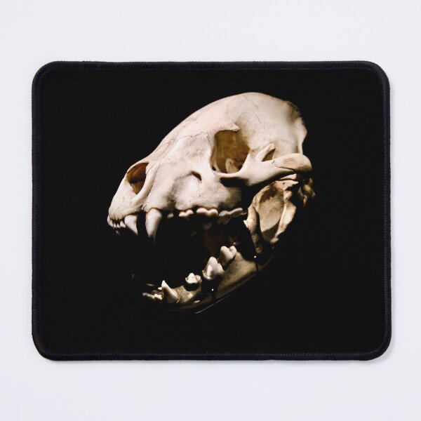 Item preview, Dinosaurs – primal forces of prehistoric times / Swiss Artwork Photography designed and sold by Raphael Wolf.