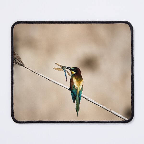 Item preview, Big catch designed and sold by Andreas Koerner.