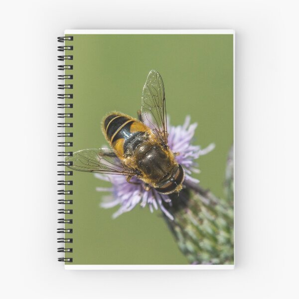 Item preview, Bee Mimic and the Flower designed and sold by DonMc.