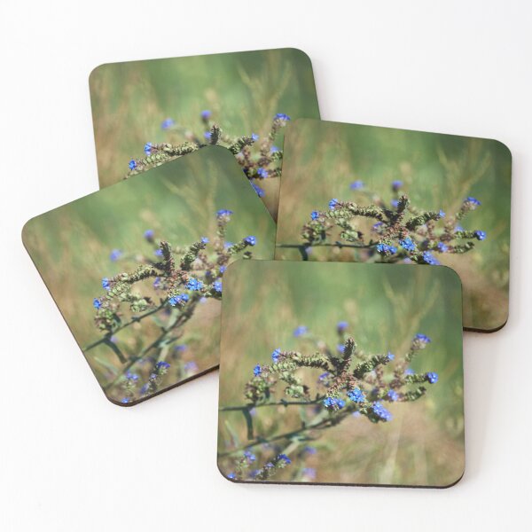 Item preview, Common ox tongue (Anchusa officinalis) designed and sold by Andreas Koerner.