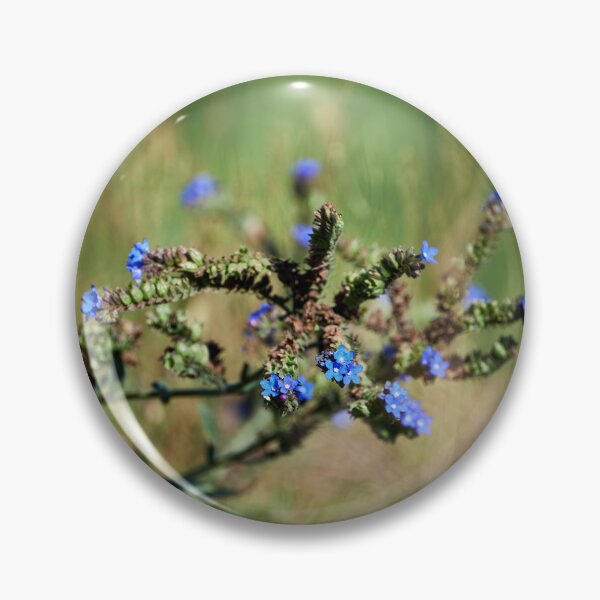 Item preview, Common ox tongue (Anchusa officinalis) designed and sold by Andreas Koerner.