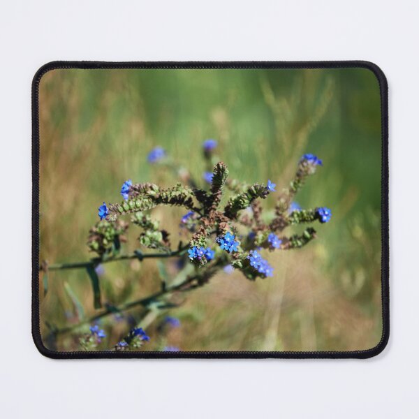 Item preview, Common ox tongue (Anchusa officinalis) designed and sold by Andreas Koerner.