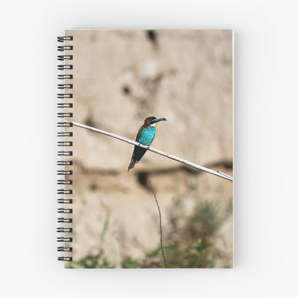Item preview, Bee-eater (Merops apiaster) designed and sold by Andreas Koerner.