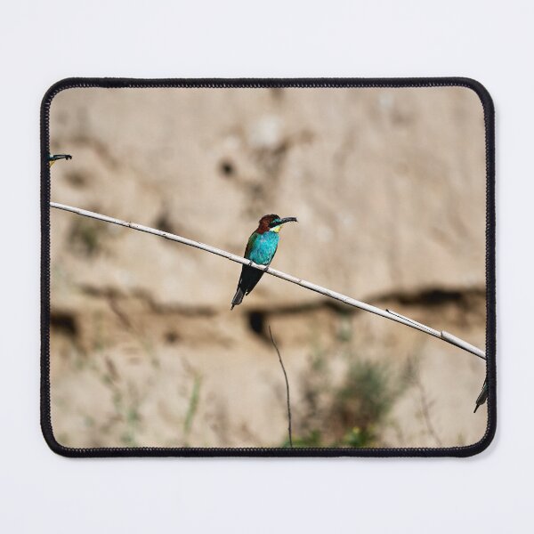 Item preview, Bee-eater (Merops apiaster) designed and sold by Andreas Koerner.