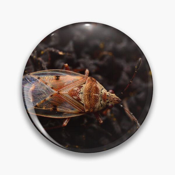 Item preview, Patterned Bug Macro – Transparent Wings and Textured Contrast designed and sold by Goiko7Margarita.