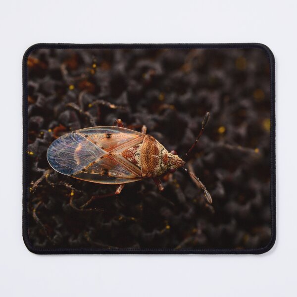 Item preview, Patterned Bug Macro – Transparent Wings and Textured Contrast designed and sold by Goiko7Margarita.