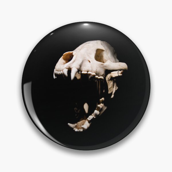 Item preview, Dinosaur Skull – Eternal Elemental Power / Swiss Artwork Photography designed and sold by Raphael Wolf.