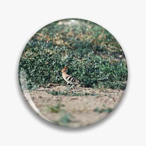 Item preview, Hoopoe (Upupa epops) designed and sold by Andreas Koerner.