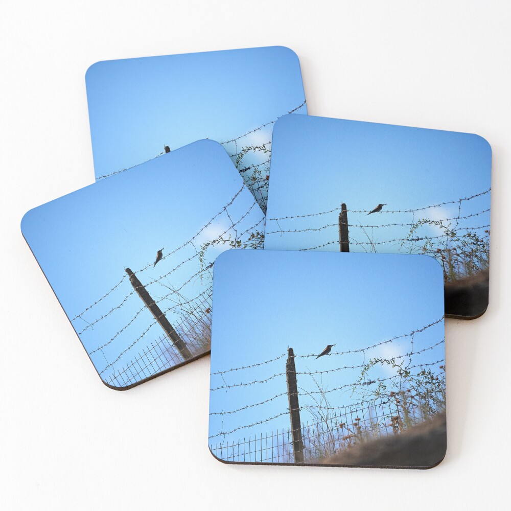 Item preview, Coasters (Set of 4) designed and sold by AndreasKoerner.