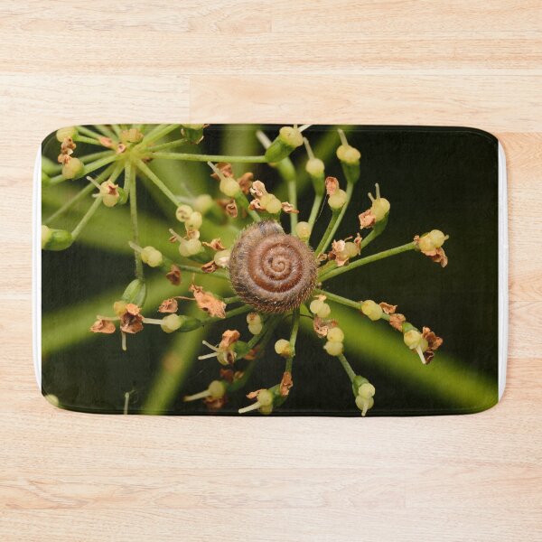 Item preview, Tiny Snail Macro – Spiral Shell and Green Harmony designed and sold by Goiko7Margarita.